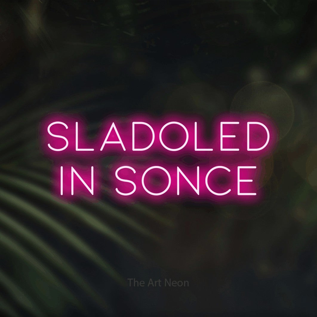 LED neon sign reading “SLADOLED IN SONCE”, arranged in two lines.