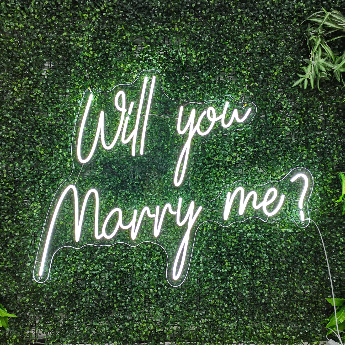 Will You Marry Me? Neon Sign