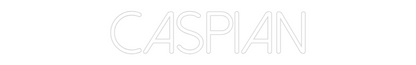 Custom Neon: CASPIAN