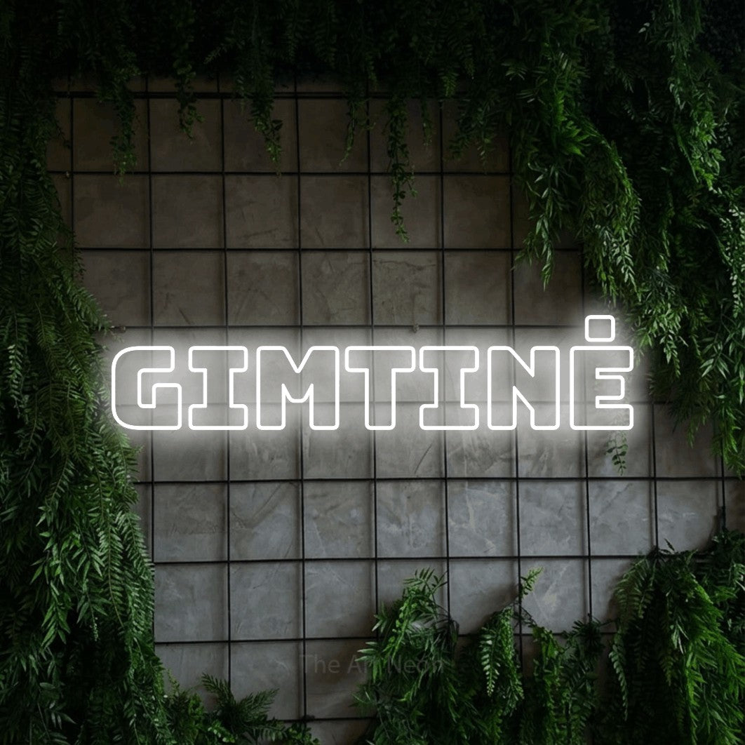 LED neon sign reading “gimtinė”, arranged in a single line.
