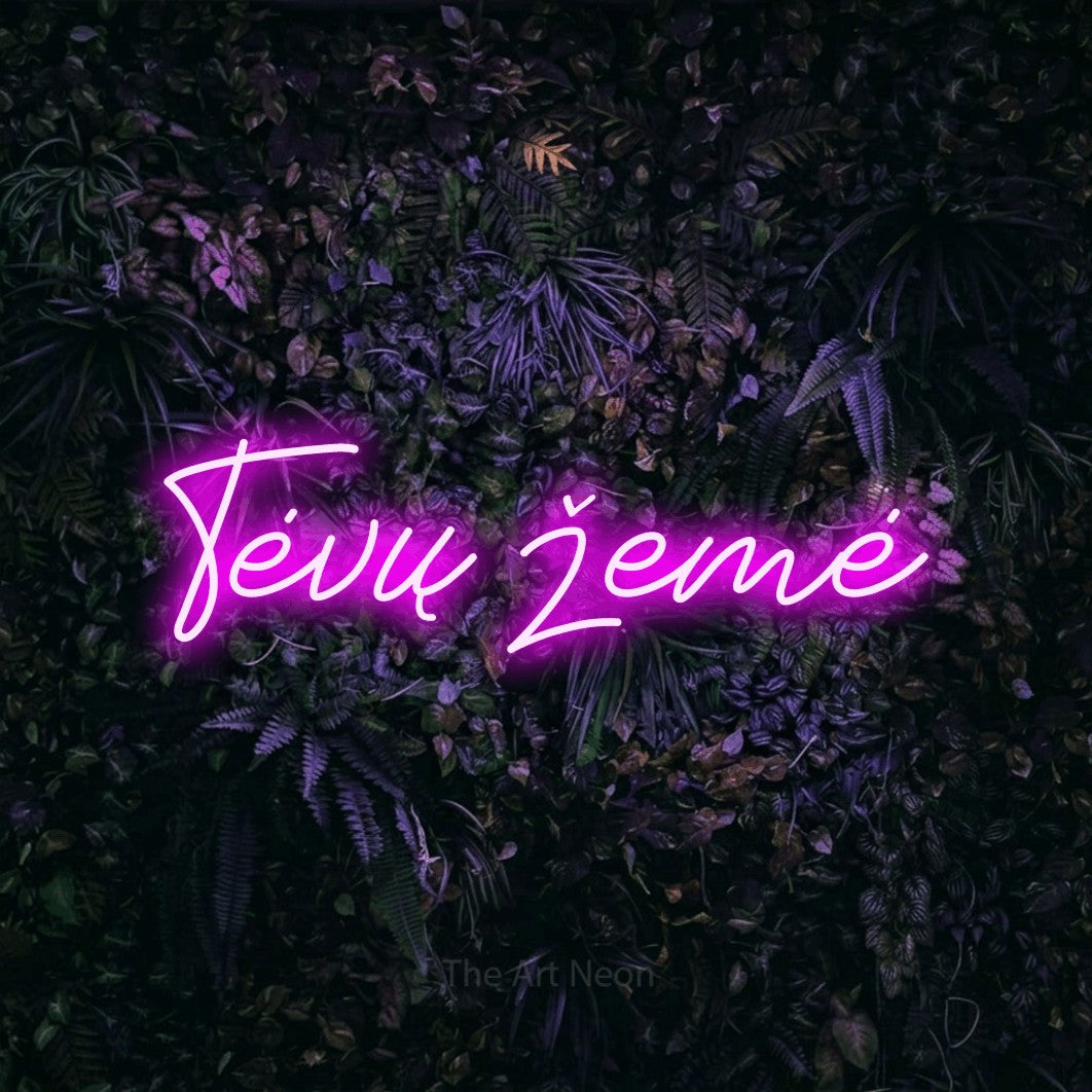 LED neon sign reading “Tėvų žemė”, arranged in a single line.