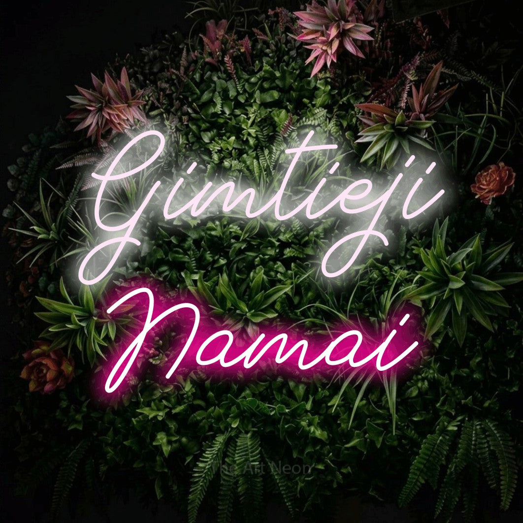 LED neon sign reading “Gimtieji Namai”, arranged in two lines.