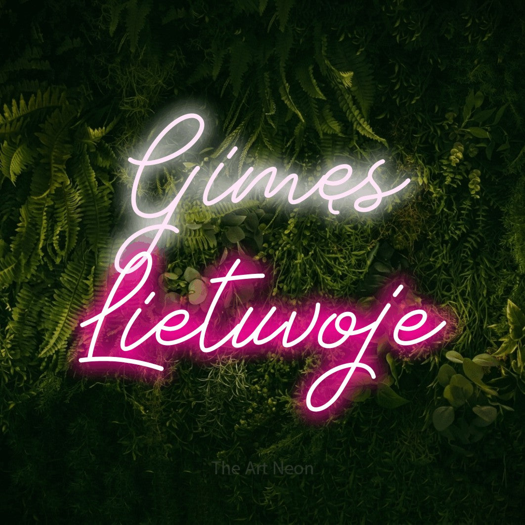 LED neon sign reading “Gimęs Lietuvoje”, arranged in two lines.
