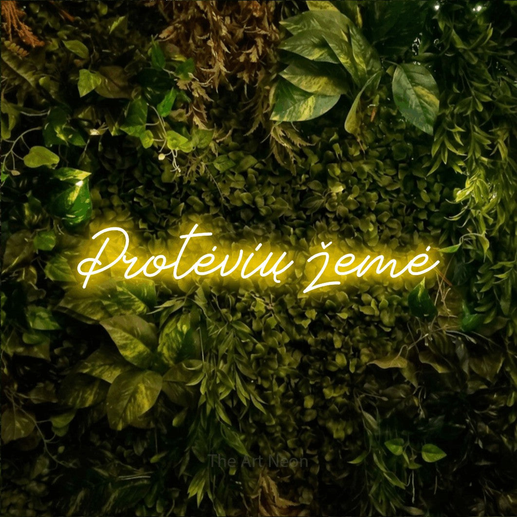 LED neon sign reading “Protėvių žemė”, arranged in a single line.