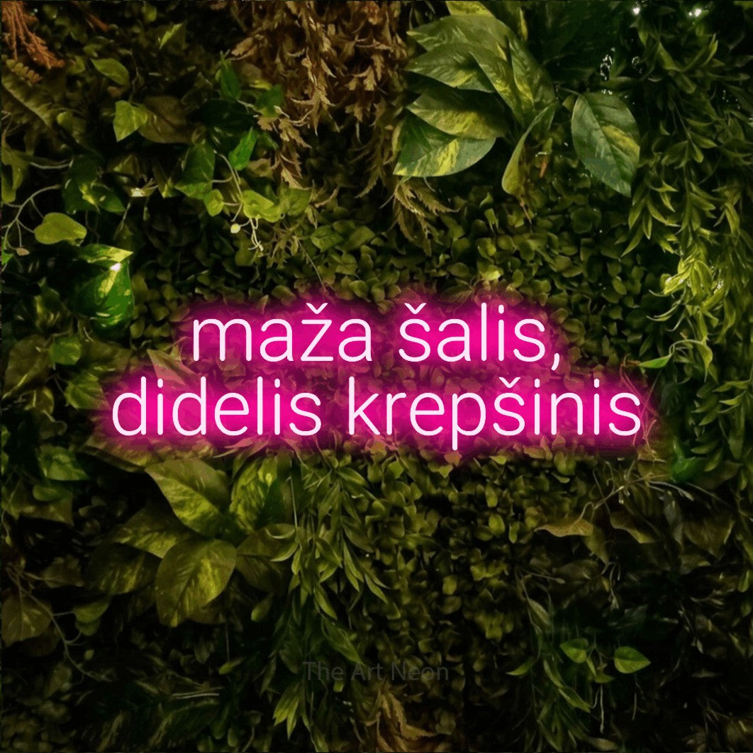 LED neon sign reading “maža šalis, didelis krepšinis”, arranged in two lines.