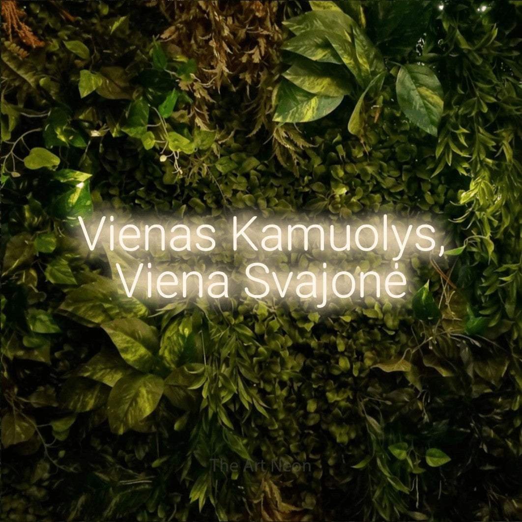 LED neon sign reading “Vienas Kamuolys, Viena Svajonė”, arranged in two lines.