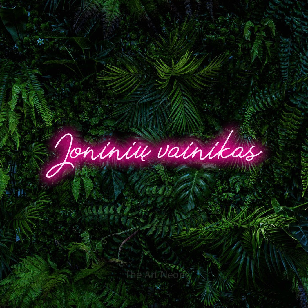 LED neon sign reading “Joninių vainikas”, arranged in a single line.