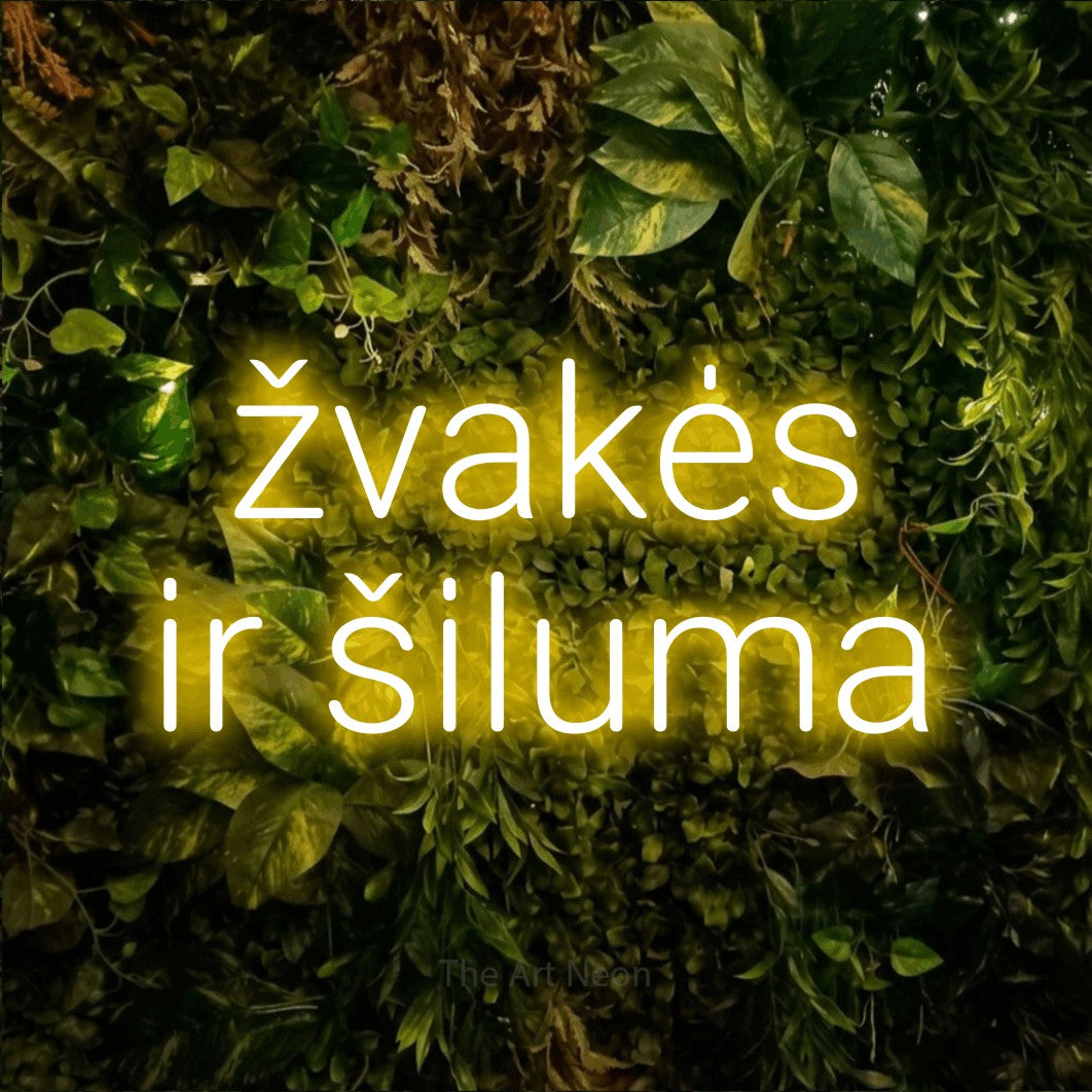 LED neon sign reading “žvakės ir šiluma”, arranged in two lines.