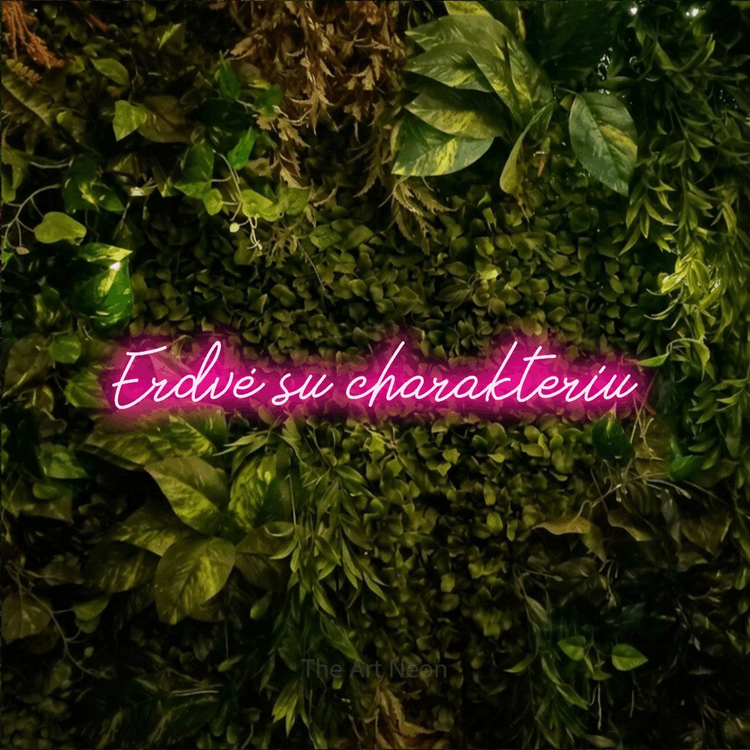 LED neon sign reading “Erdvė su charakteriu”, arranged in a single line.