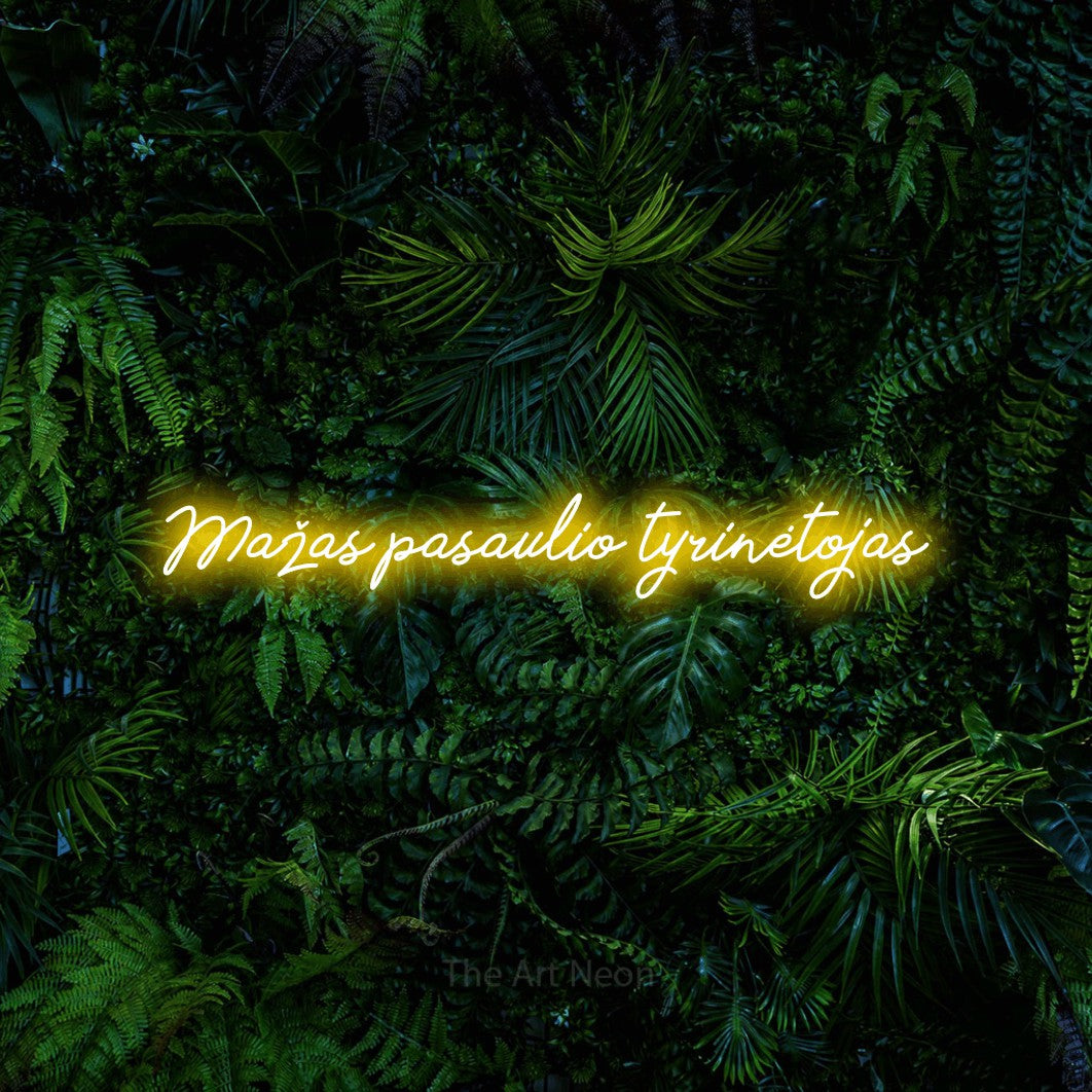 LED neon sign reading “Mažas pasaulio tyrinėtojas”, arranged in a single line.