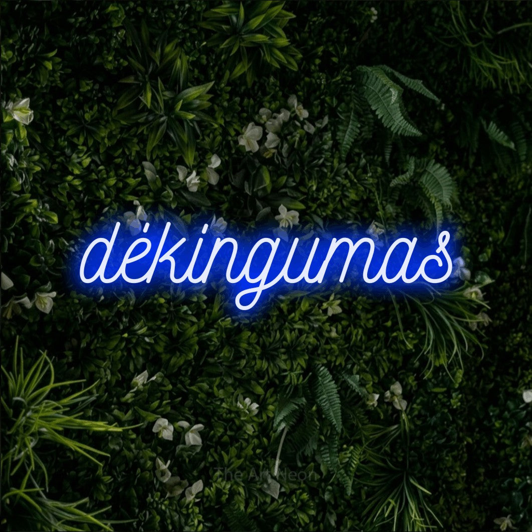 LED neon sign reading “dėkingumas”, arranged in a single line.