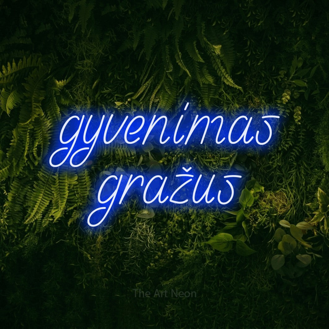 LED neon sign reading “gyvenimas gražus”, arranged in two lines.