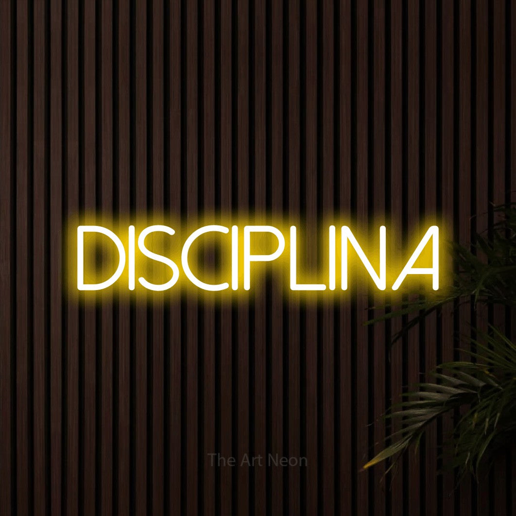 LED neon sign reading “DISCIPLINA”, arranged in a single line.
