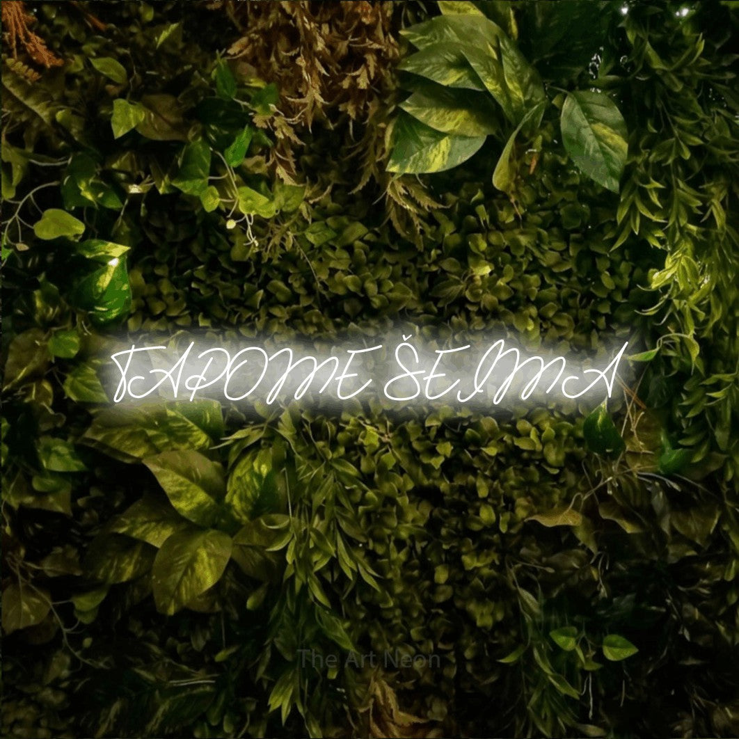 LED neon sign reading “TAPOME ŠEIMA”, arranged in a single line.