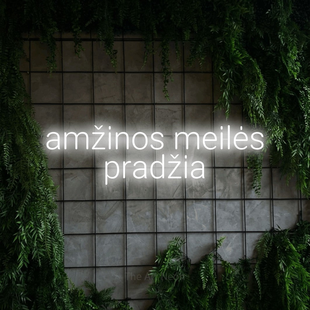 LED neon sign reading “amžinos meilės pradžia”, arranged in two lines.