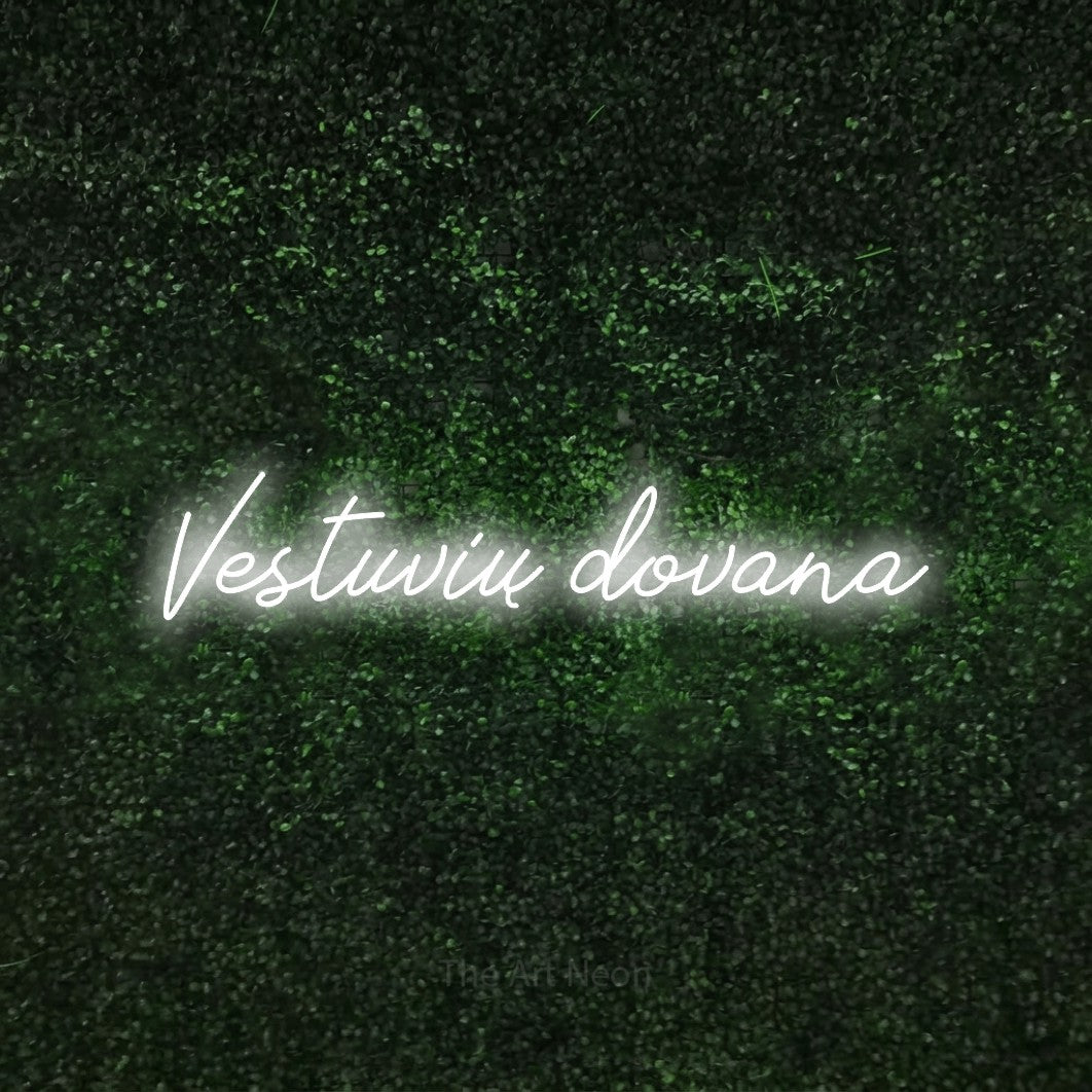 LED neon sign reading “Vestuvių dovana”, arranged in a single line.