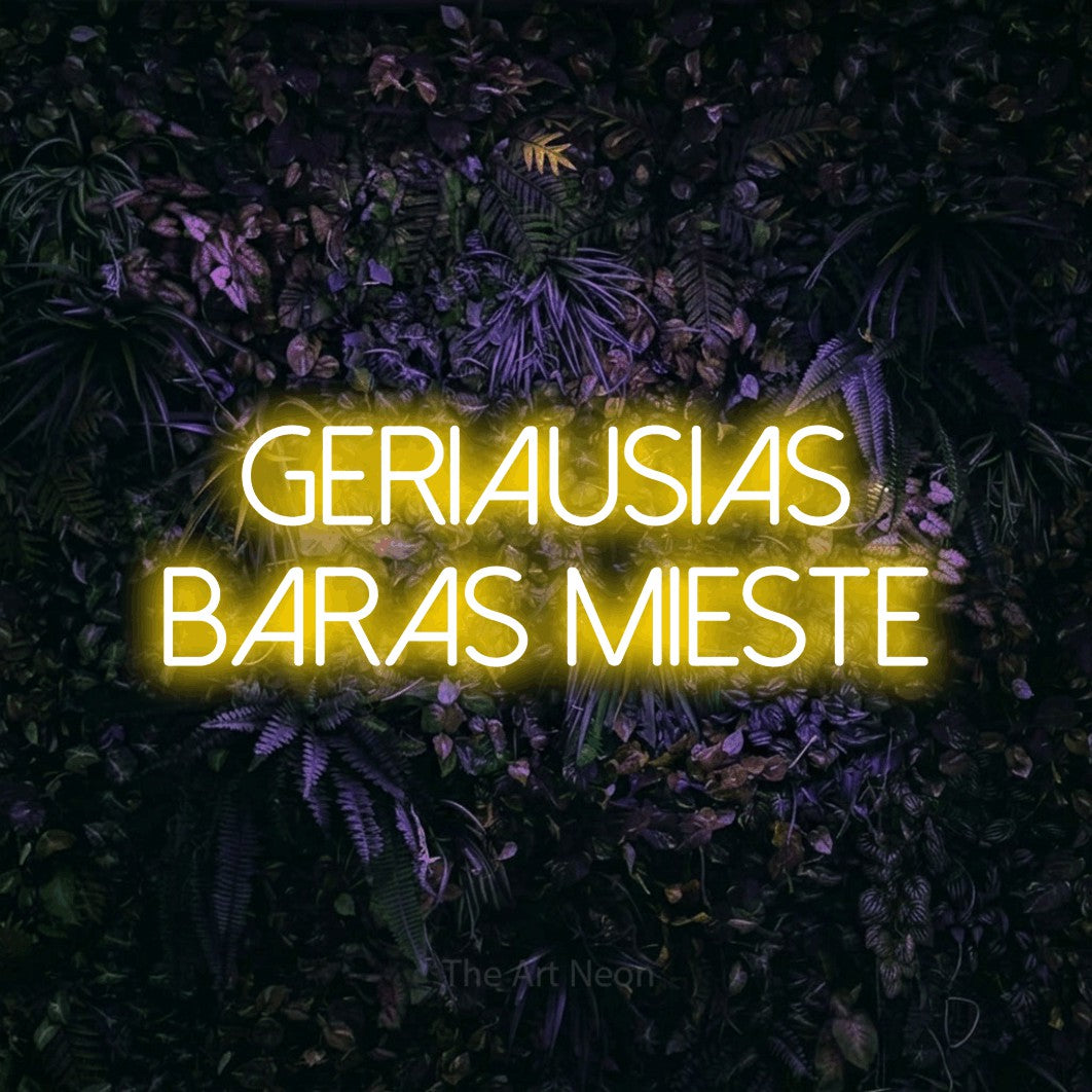LED neon sign reading “GERIAUSIAS BARAS MIESTE”, arranged in two lines.