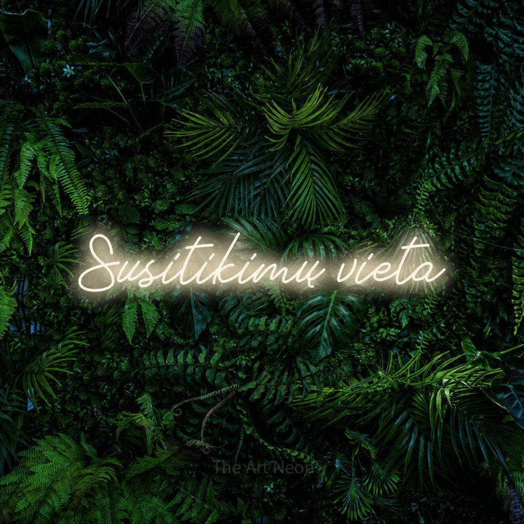 LED neon sign reading “Susitikimų vieta”, arranged in a single line.