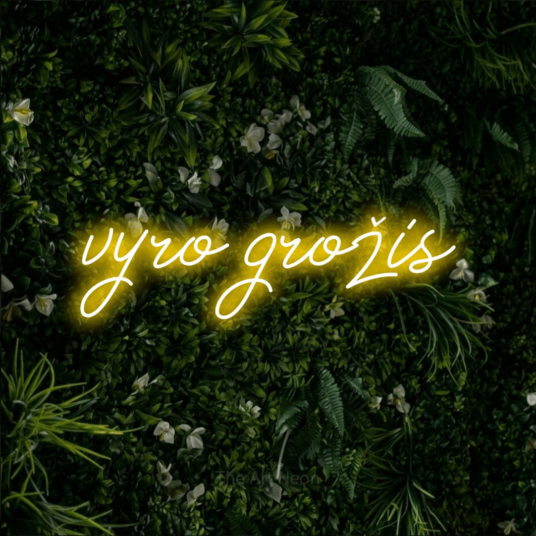 LED neon sign reading “vyro grožis”, arranged in a single line.