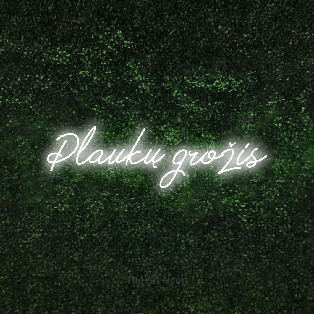LED neon sign reading “Plaukų grožis”, arranged in a single line.