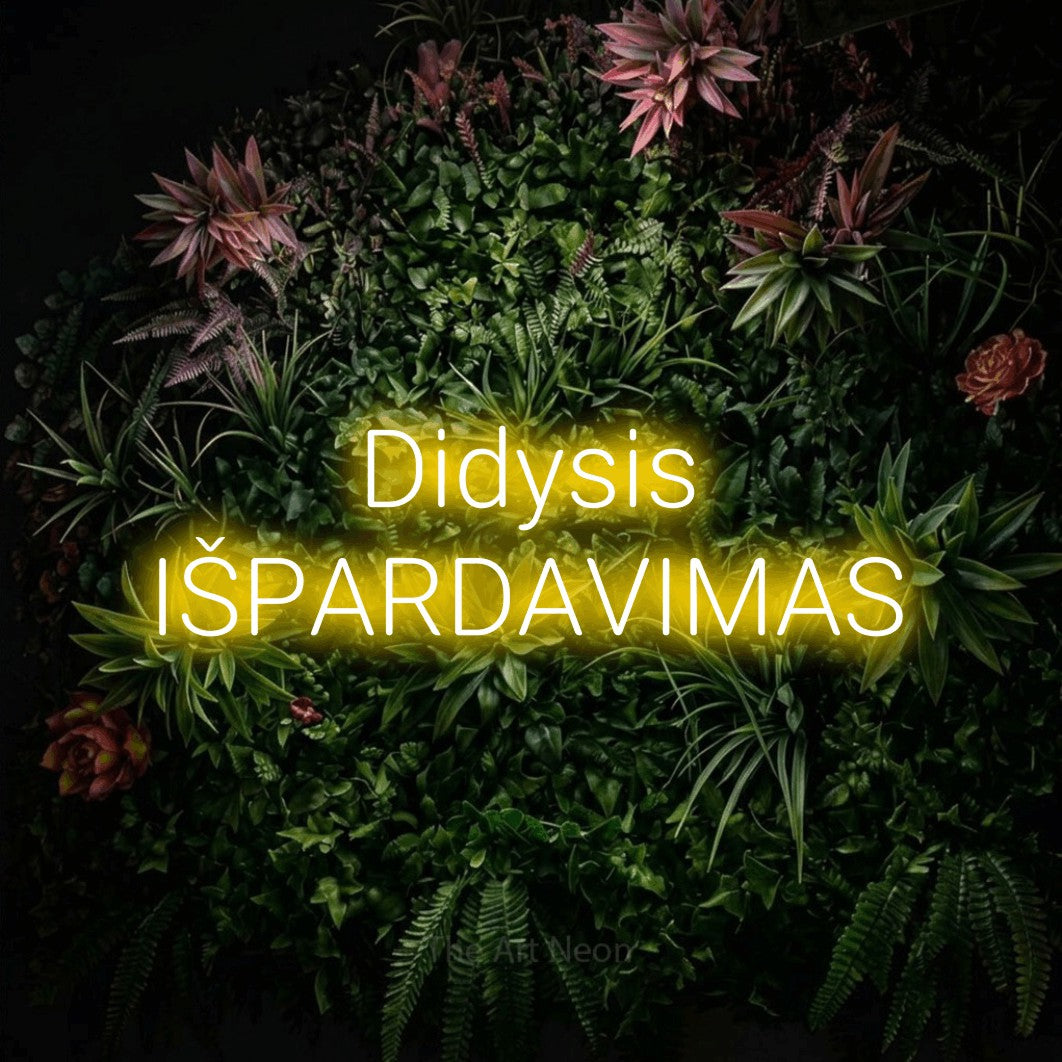 LED neon sign reading “Didysis IŠPARDAVIMAS”, arranged in two lines.