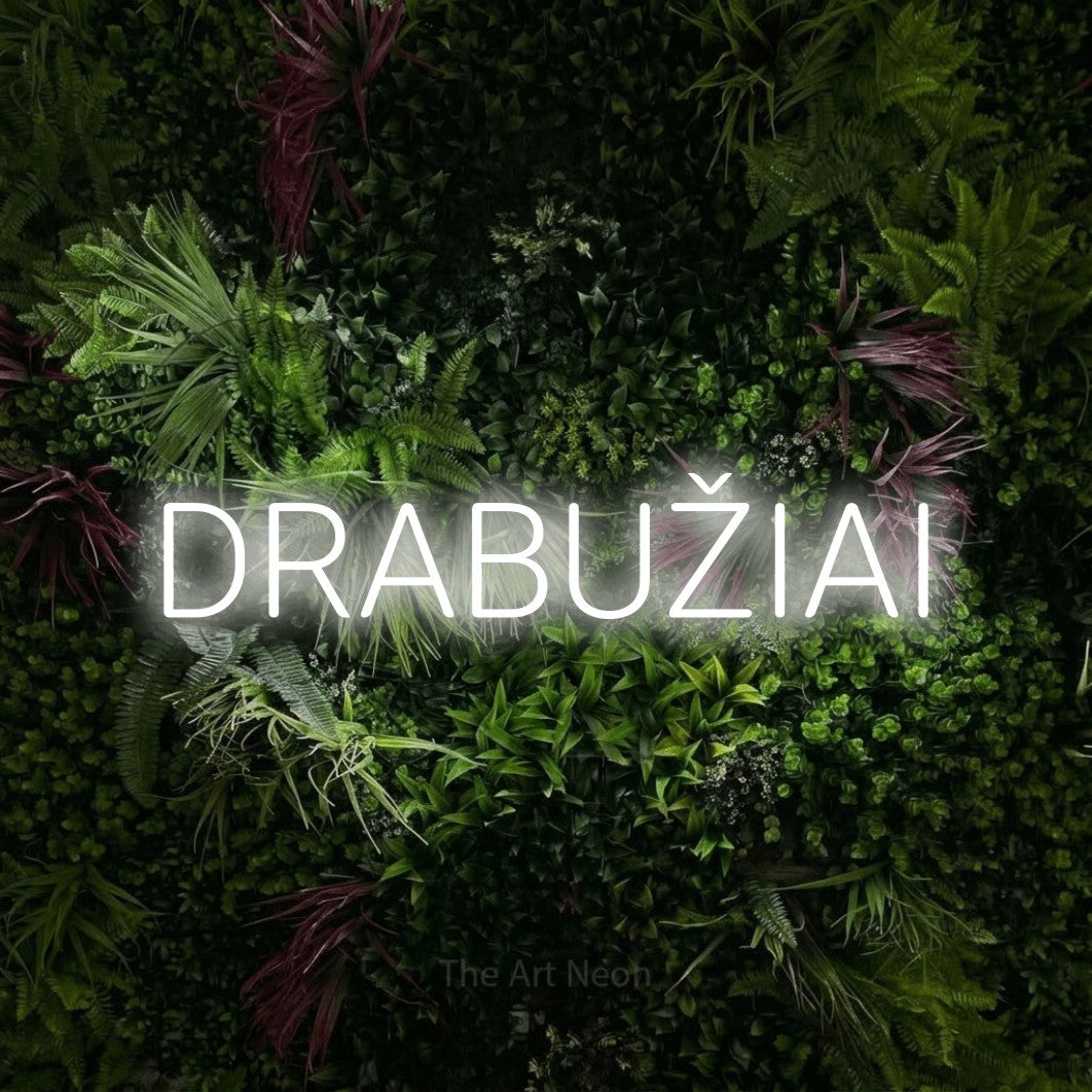 LED neon sign reading “DRABUŽIAI”, arranged in a single line.
