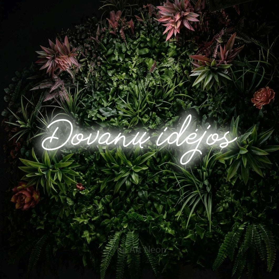 LED neon sign reading “Dovanų idėjos”, arranged in a single line.