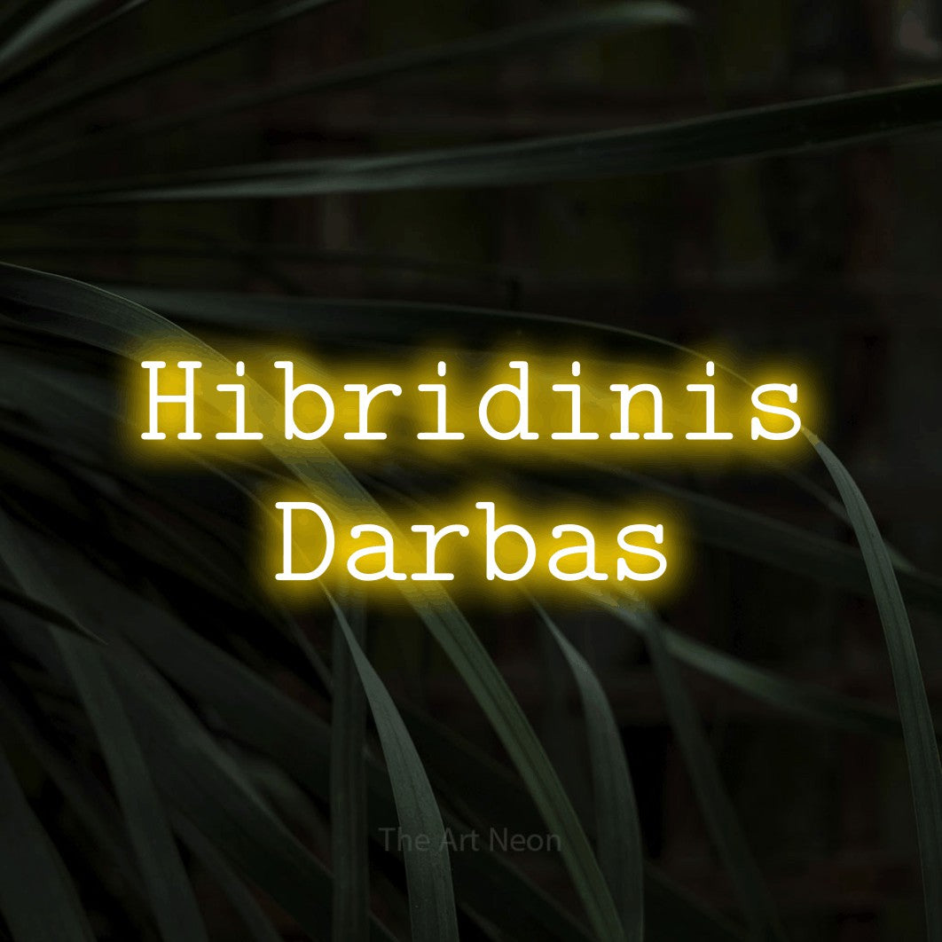 LED neon sign reading “Hibridinis Darbas”, arranged in two lines.