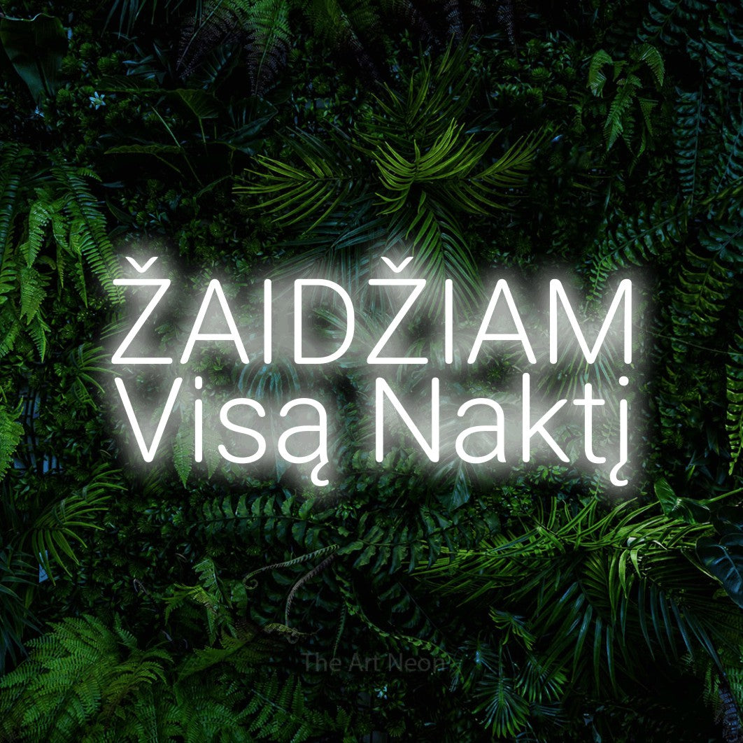 LED neon sign reading “ŽAIDŽIAM Visą Naktį”, arranged in two lines.