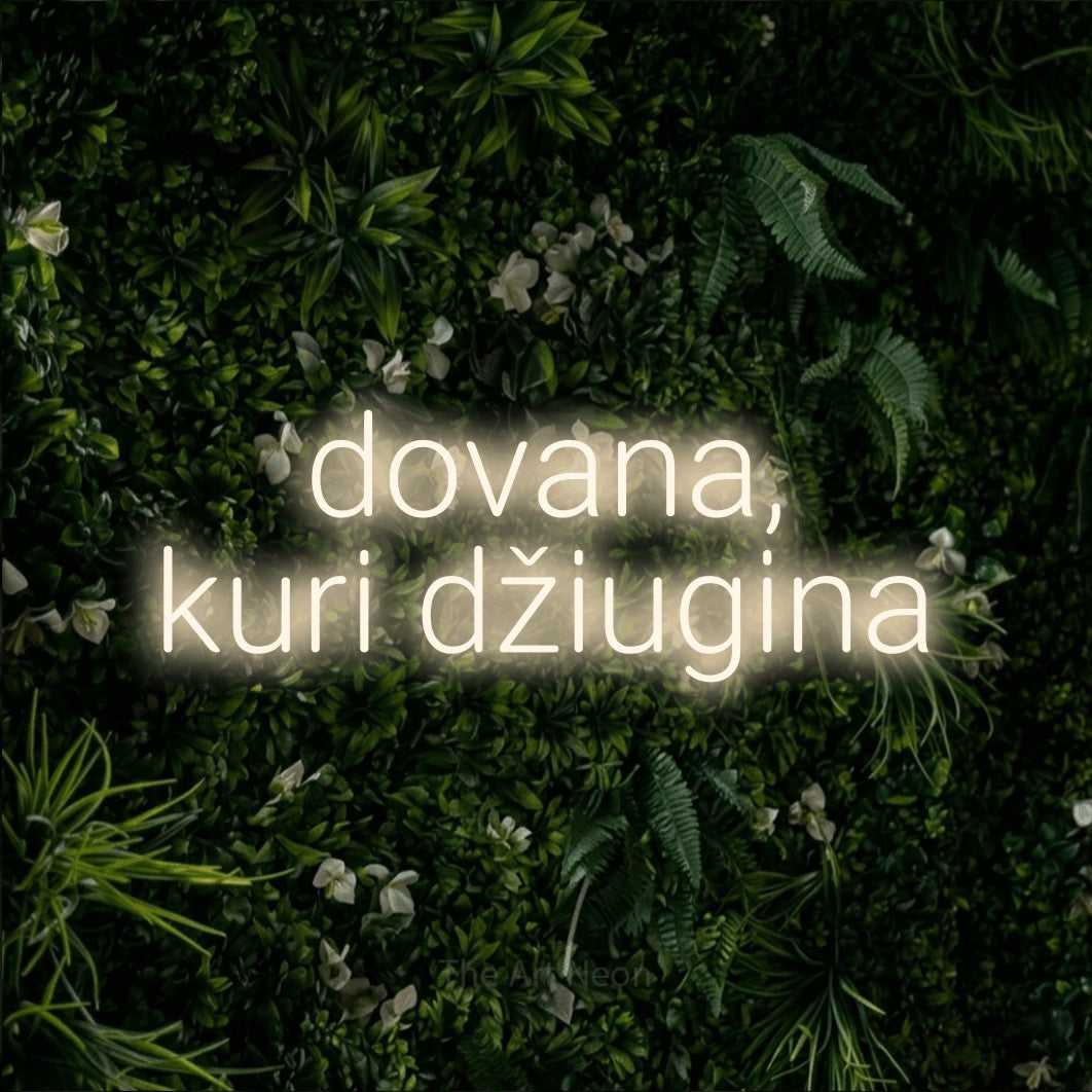LED neon sign reading “dovana, kuri džiugina”, arranged in two lines.