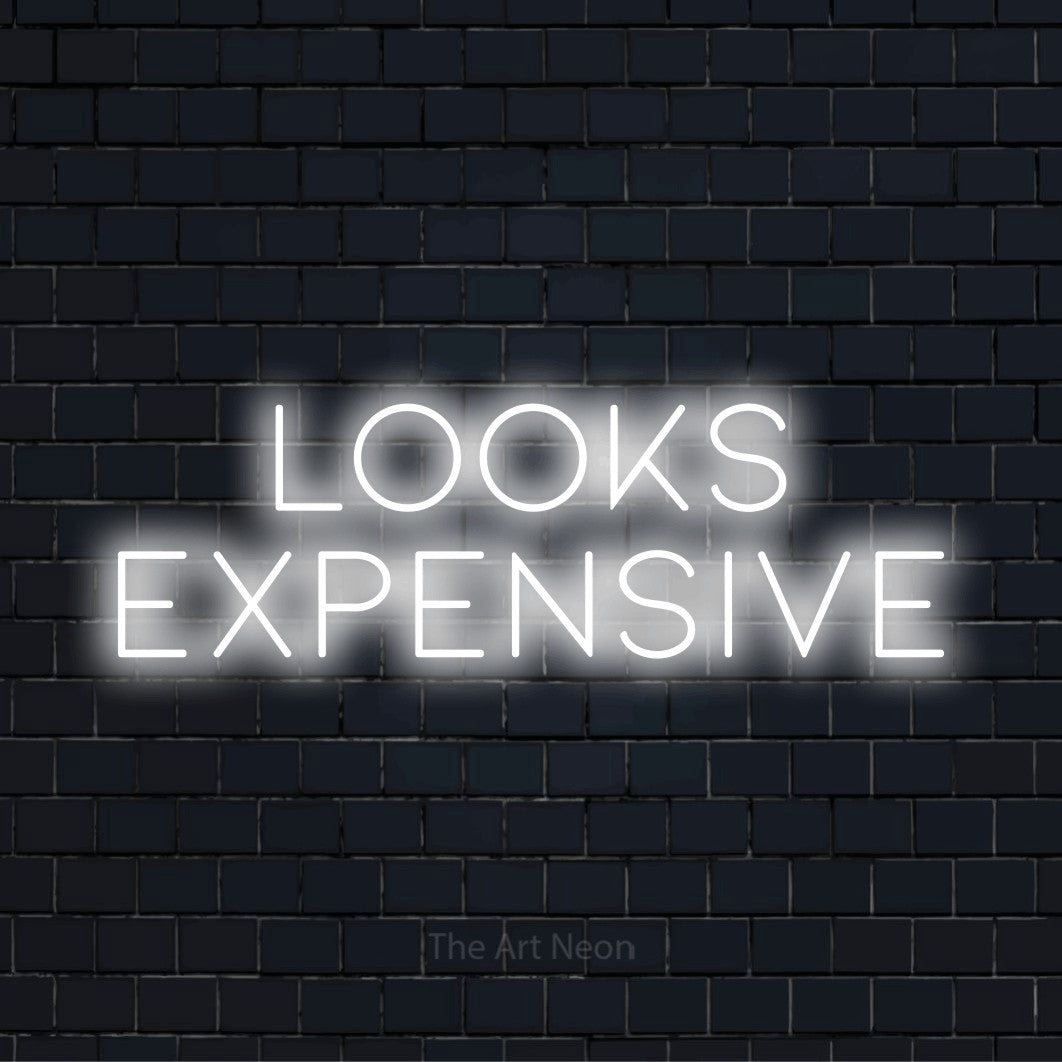 Looks Expensive LED Neon Sign | The Art Neon