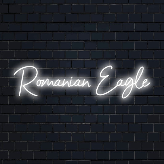 Romanian Eagle Neon Light with neon text light against brick backdrop