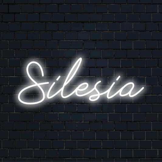 Silesia LED Neon Sign, bright LED glow against brick backdrop