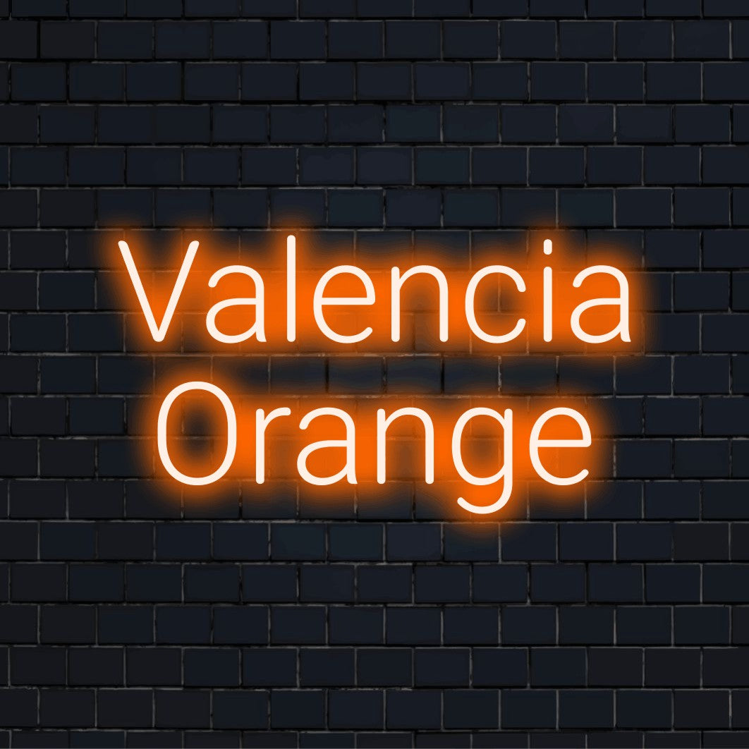 Valencia Orange LED Neon Sign, neon text light against brick backdrop