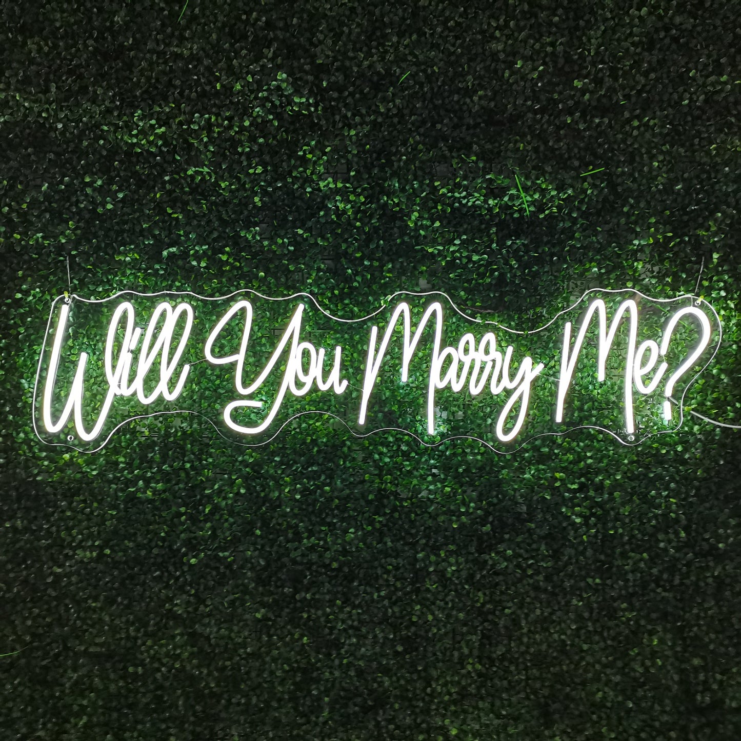 will you marry me_neon sign